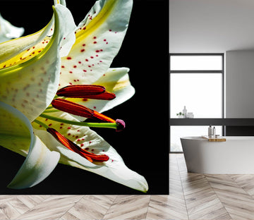 3D Fragrance Lily 1405 Kathy Barefield Wall Mural Wall Murals Wallpaper AJ Wallpaper 2 