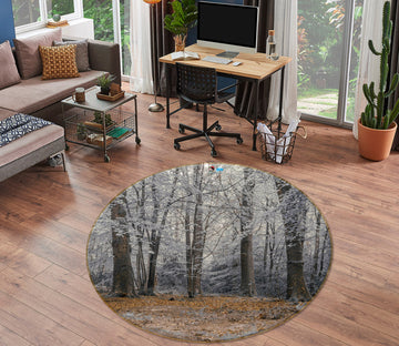 3D Grey Forest 7407 Assaf Frank Rug Round Non Slip Rug Mat