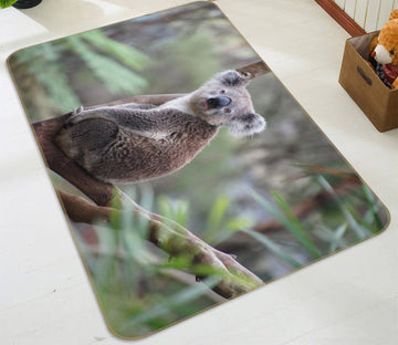 3D Koala 82125 Animal Non Slip Rug Mat