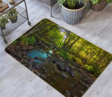 3D Peaceful Stream 1015 Jerry LoFaro Rug Non Slip Rug Mat