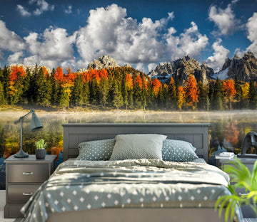 3D Forest Lake 1407 Marco Carmassi Wall Mural Wall Murals