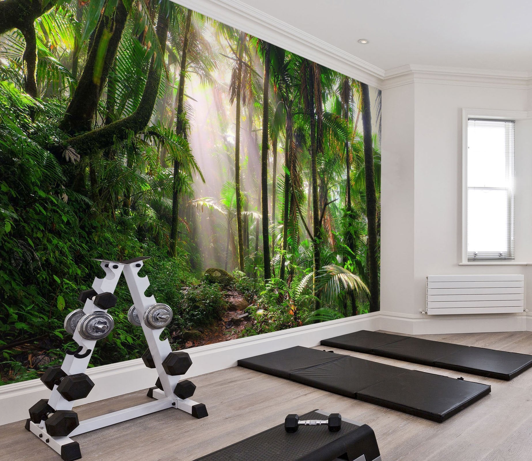 3D sunshine with rain forest 26 Wall Murals Wallpaper AJ Wallpaper 