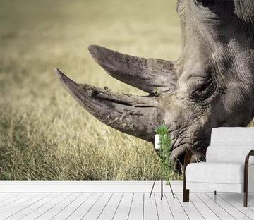 3D Rhino Prairie WC619 Wall Murals