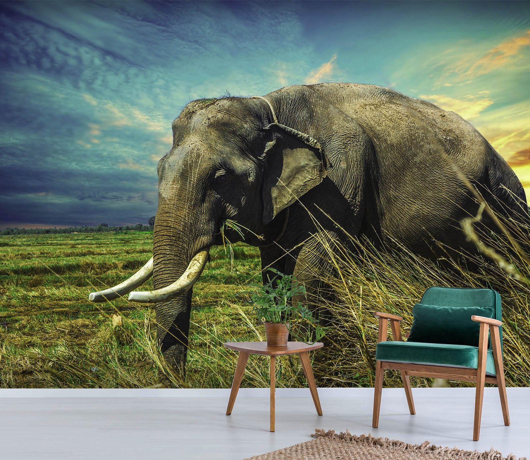 3D Grassland Elephant Trunk 137 Wallpaper AJ Wallpaper 