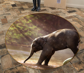 3D Elephant 82212 Animal Round Non Slip Rug Mat