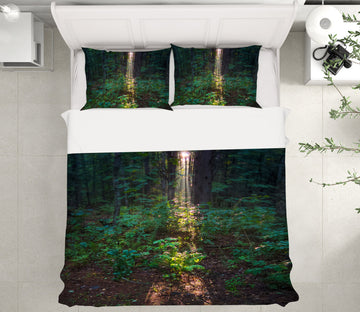 3D Jungle 86005 Jerry LoFaro bedding Bed Pillowcases Quilt