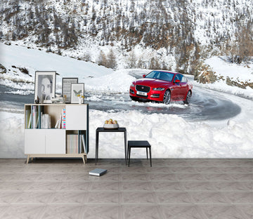 3D White Snow Car 033 Vehicle Wall Murals