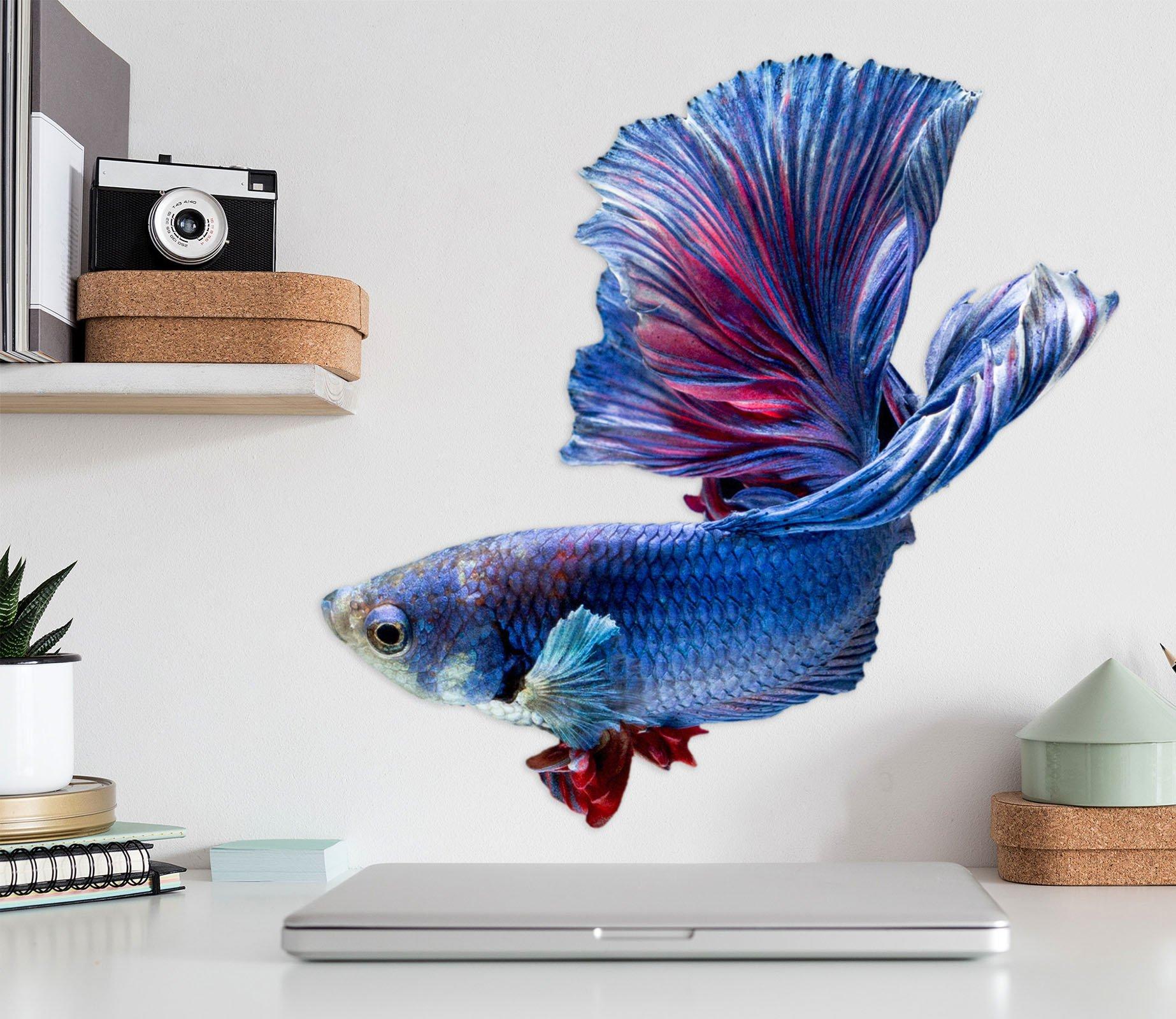 3D Blue Goldfish 037 Animals Wall Stickers Wallpaper AJ Wallpaper 