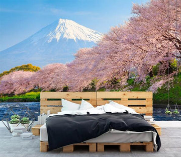 3D Mount Fuji WC166 Wall Murals