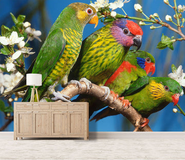 3D Green Bird 232 Wall Murals