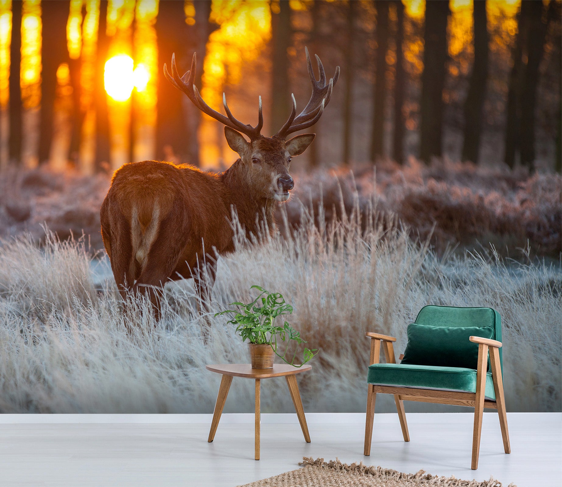 3D Sunset Forest Deer 386 Wall Murals