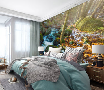 3D Forest Stream 108 Jerry LoFaro Wall Mural Wall Murals