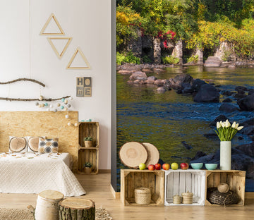 3D River Flowing 135 Jerry LoFaro Wall Mural Wall Murals