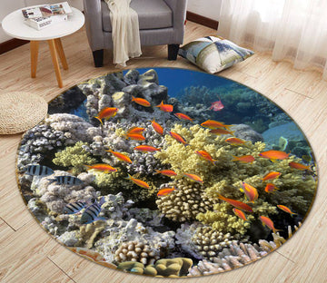 3D Coral Fish 38051 Animal Round Non Slip Rug Mat