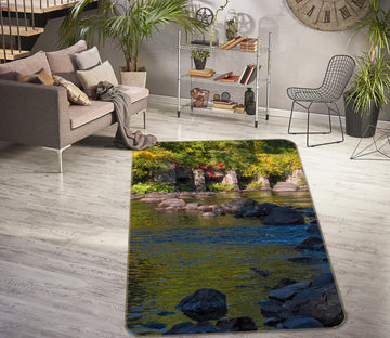 3D Stone River Grass 1034 Jerry LoFaro Rug Non Slip Rug Mat