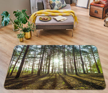 3D Sunlight Forest 83247 Assaf Frank Rug Non Slip Rug Mat