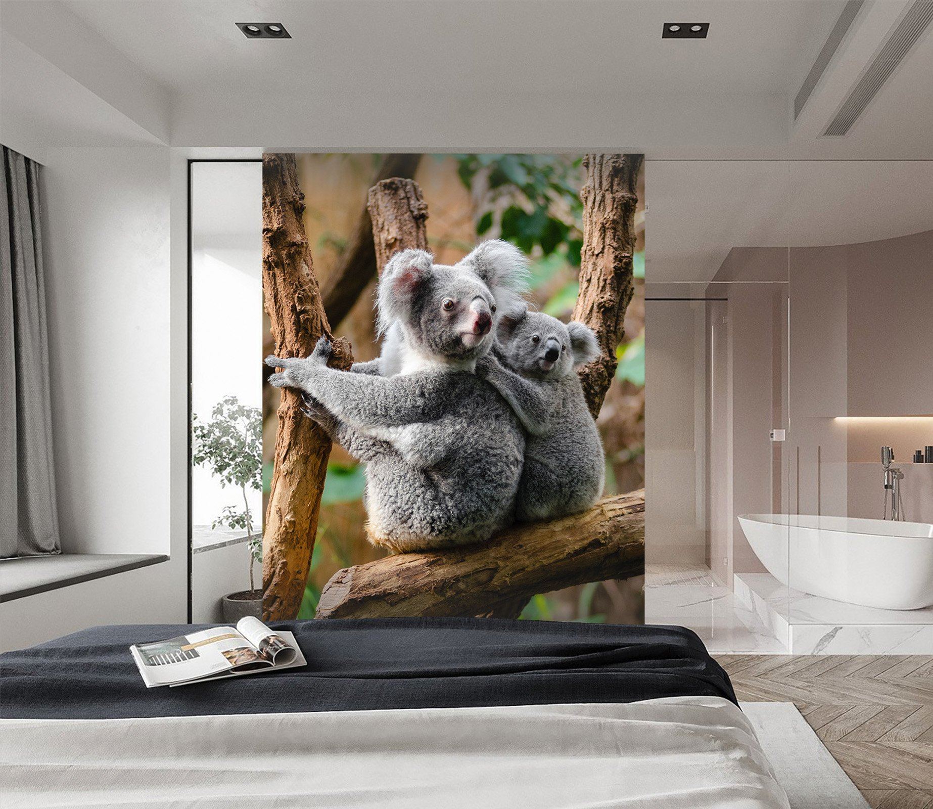 3D Australia Koala 659 Wallpaper AJ Wallpaper 