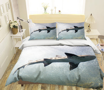 3D Shark Bottom 033 Bed Pillowcases Quilt