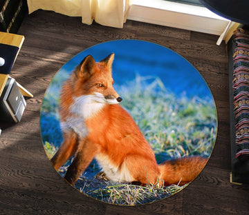 3D Fox 38001 Animal Round Non Slip Rug Mat