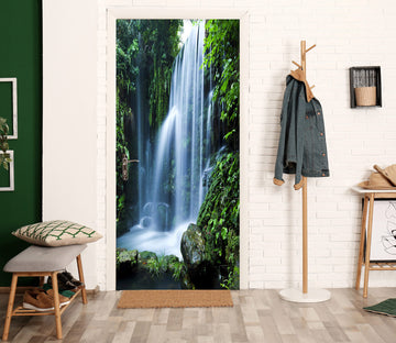 3D Waterfall 24091 Door Mural