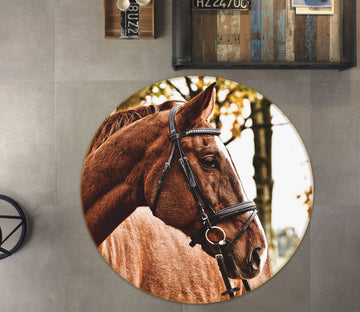 3D Horse 81294 Animal Round Non Slip Rug Mat