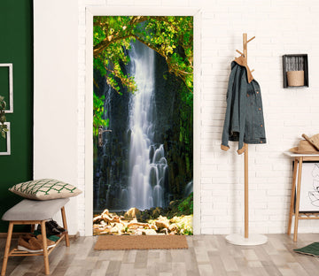 3D Cliff Waterfall Tree 049 Door Mural