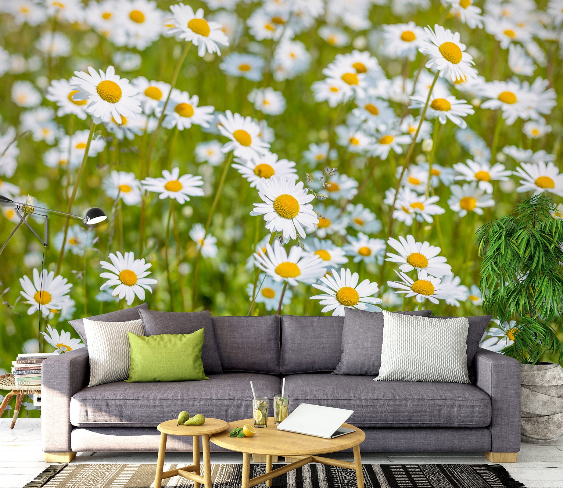 3D White Daisy 6262 Assaf Frank Wall Mural Wall Murals