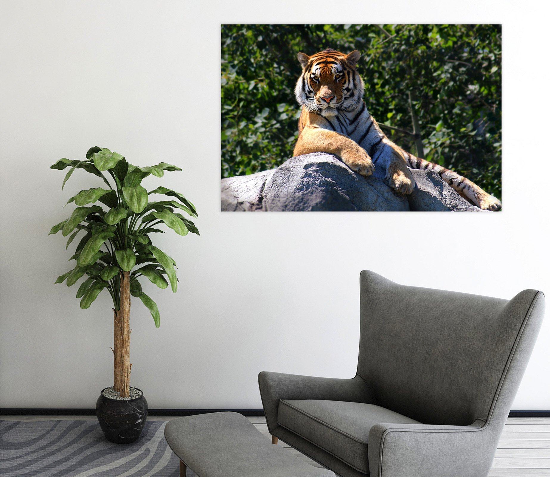 3D Tiger King 125 Animal Wall Stickers Wallpaper AJ Wallpaper 2 