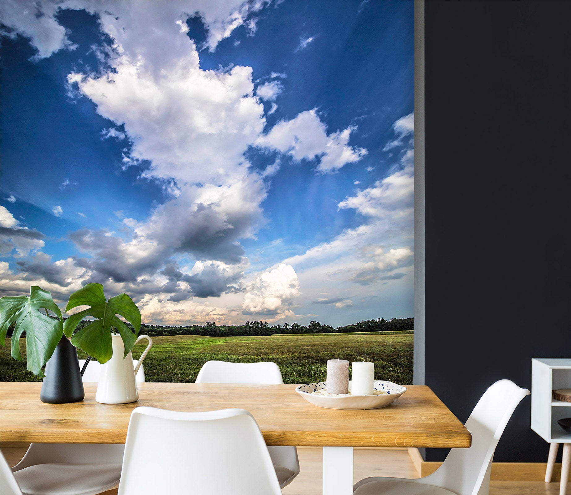 3D Sky Grass 85015 Jerry LoFaro Wall Mural Wall Murals