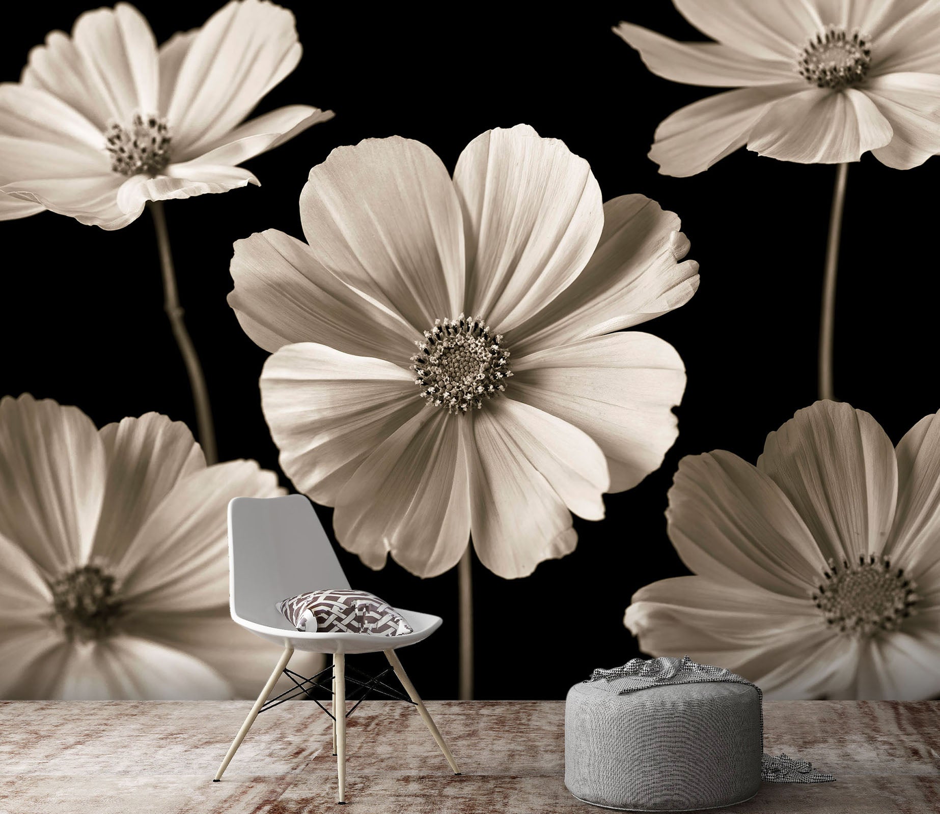 3D Gray Daisy 6107 Assaf Frank Wall Mural Wall Murals