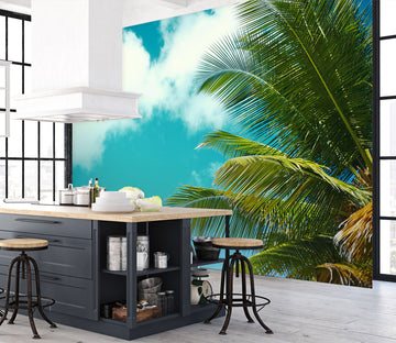 3D Coconut Sky 58075 Wall Murals