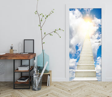 3D Ladder 22065 Door Mural