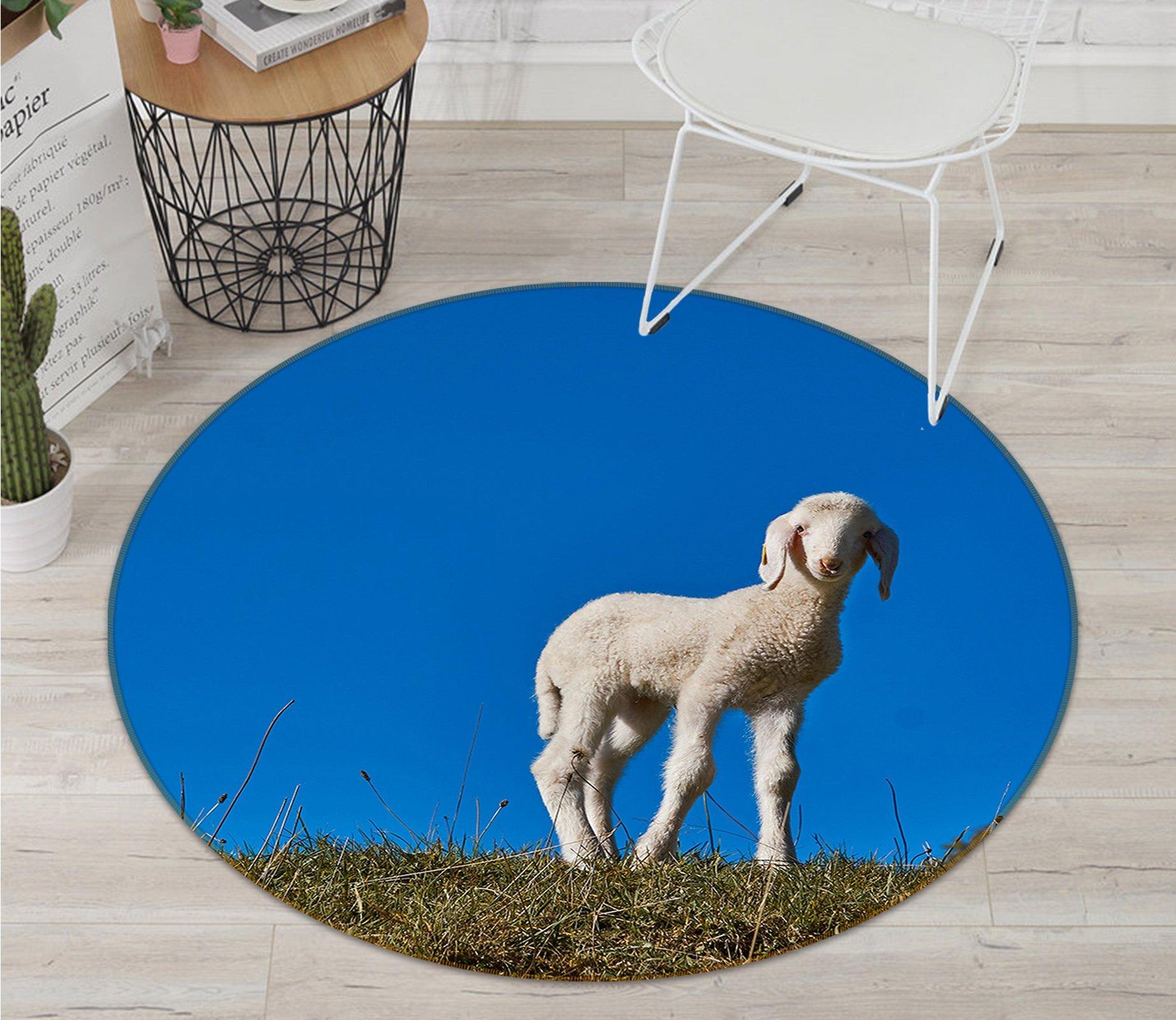 3D Sheep 071 Animal Round Non Slip Rug Mat Mat AJ Creativity Home 