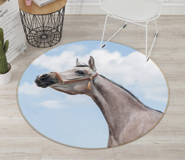 3D Horse Neck 064 Animal Round Non Slip Rug Mat Mat AJ Creativity Home 