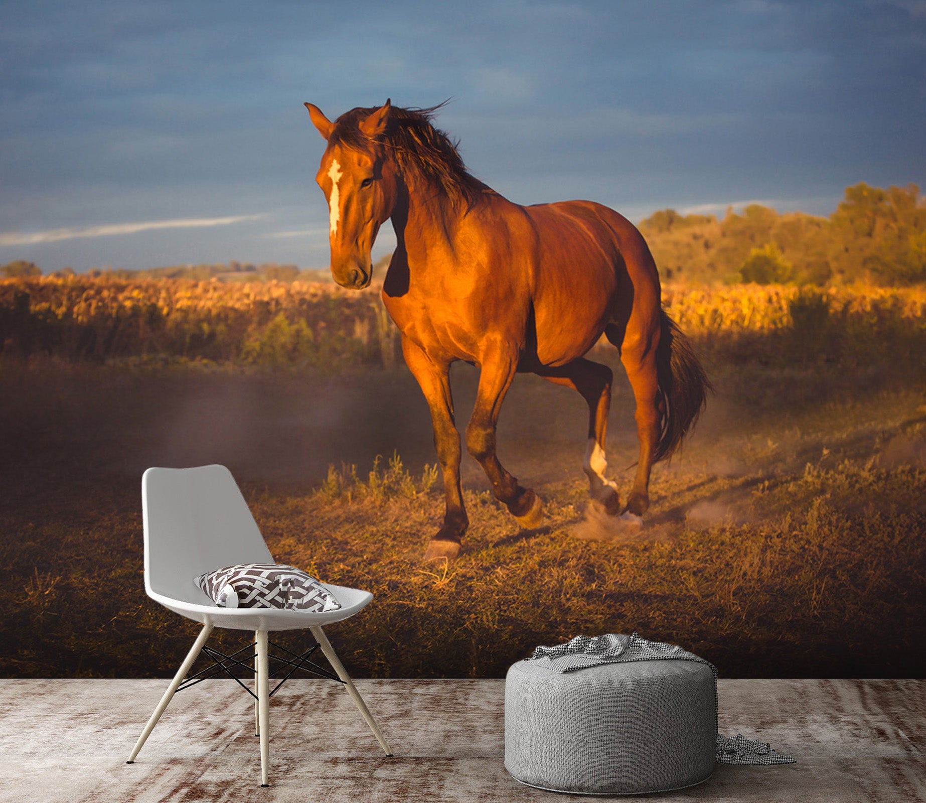 3D Prairie Horse 109 Wall Murals