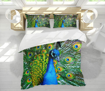 3D Peacock 19212 Bed Pillowcases Quilt