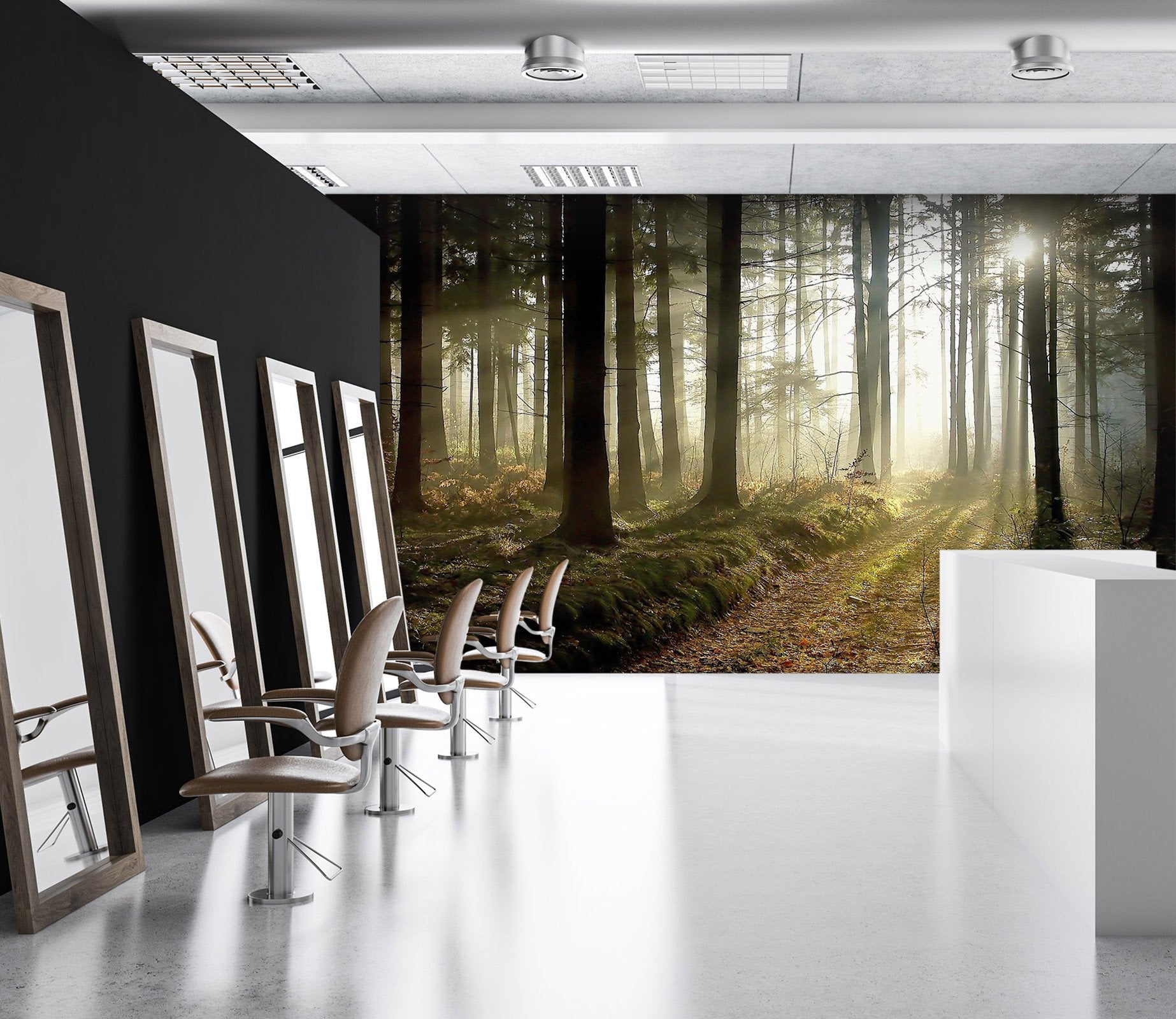 3D Forest Sun 54 Wall Murals Wallpaper AJ Wallpaper 2 