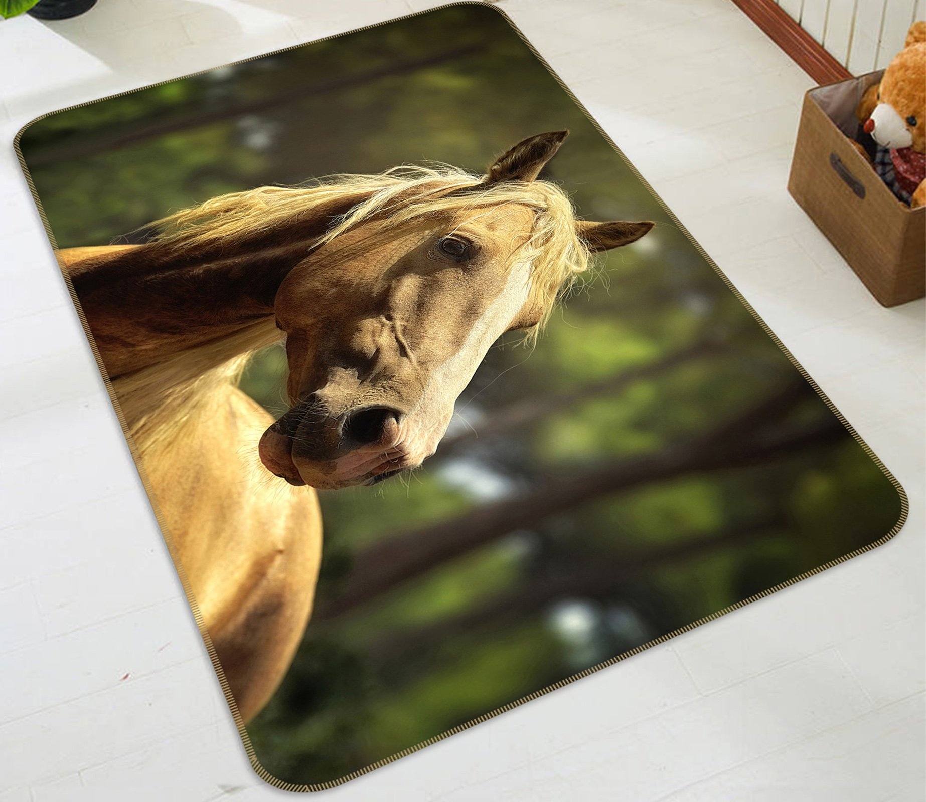 3D Horse Head 595 Animal Non Slip Rug Mat Mat AJ Creativity Home 