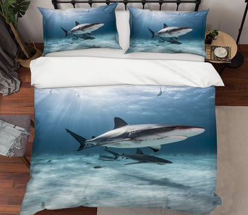 3D Shark 21036 Bed Pillowcases Quilt