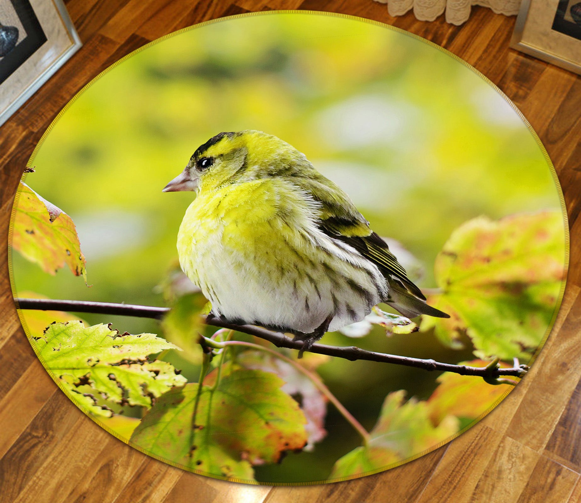 3D Sparrow 37155 Animal Round Non Slip Rug Mat