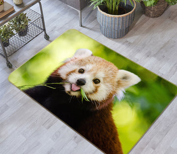 3D Raccoon 38156 Animal Non Slip Rug Mat