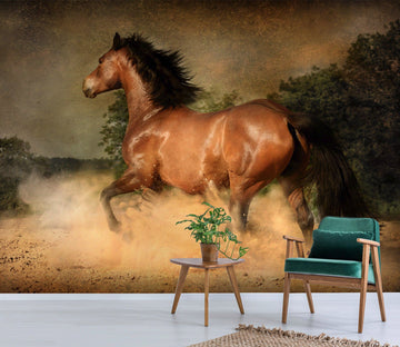 3D Horse Back 214 Wallpaper AJ Wallpaper 