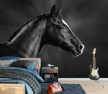 3D Dark Horse 2024 Wall Murals