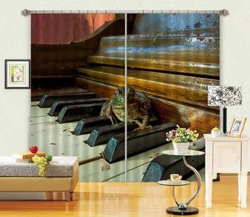 3D Piano Frog 029 Jerry LoFaro Curtain Curtains Drapes