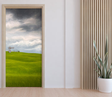 3D Clouds Grassland 114118 Marco Carmassi Door Mural