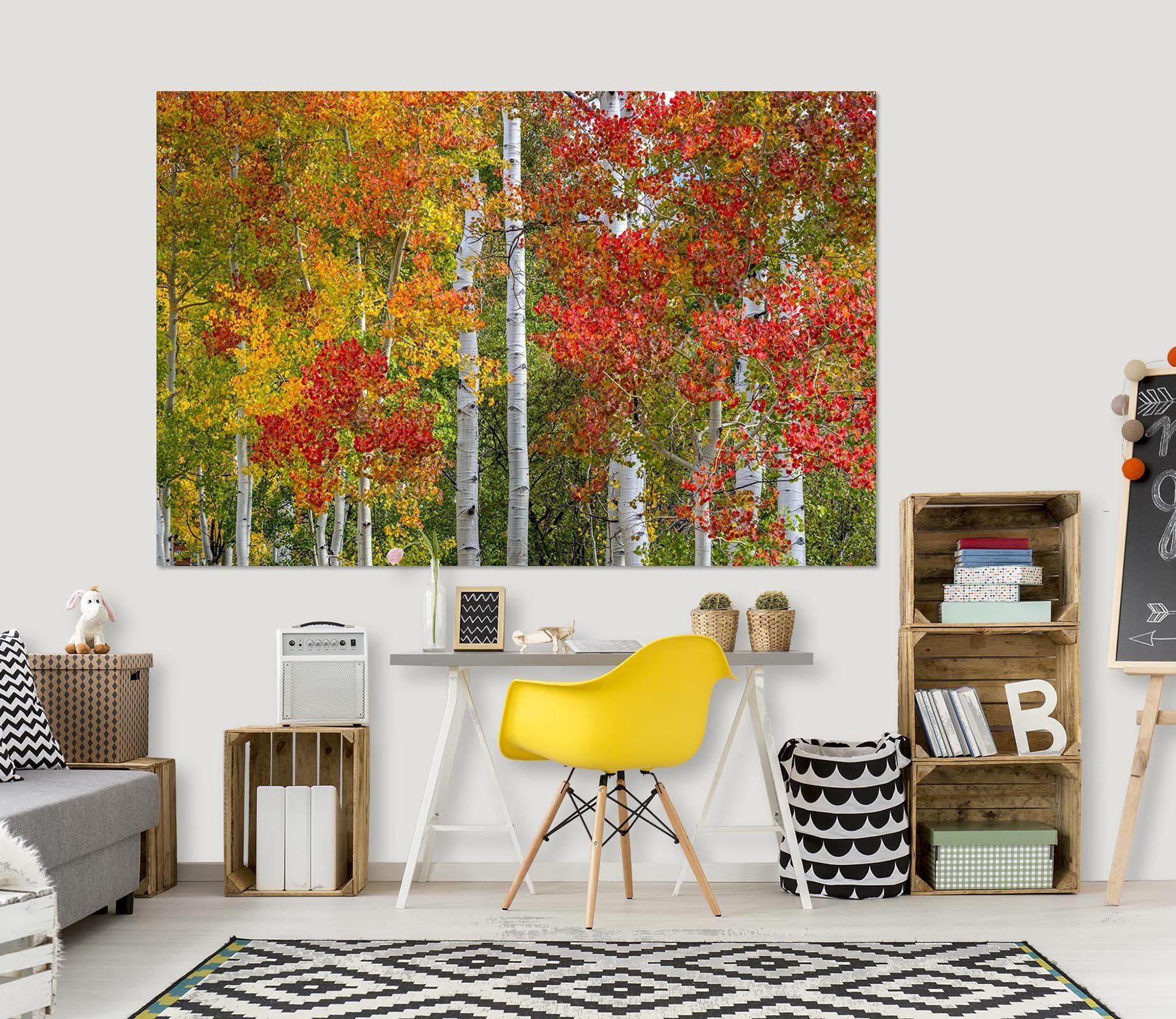 3D Autumn Maple Leaf 121 Marco Carmassi Wall Sticker Wallpaper AJ Wallpaper 2 