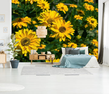 3D Sun Flower 133 Jerry LoFaro Wall Mural Wall Murals