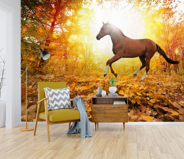 3D Maple Horse 190 Wall Murals