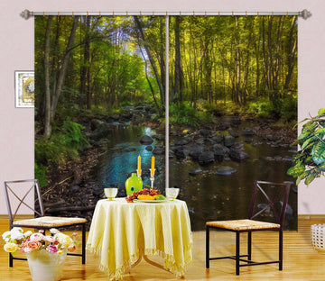 3D Peaceful Stream 015 Jerry LoFaro Curtain Curtains Drapes