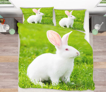 3D Grassland Rabbit 19206 Bed Pillowcases Quilt